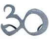 30 Jaar Bril Met Glitters 1 30 Jaar Bril Met Glitters -Cosplay Kostuums Winkel 30 jaar bril met glitters