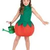Aardbei Outfit Voor Meisjes -Cosplay Kostuums Winkel aardbei kostuum voor meisjes