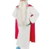 Asterix En Obelix™ Panoramix™ Kostuum Voor Volwassenen