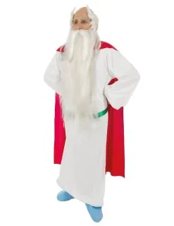 Asterix En Obelix™ Panoramix™ Kostuum Voor Volwassenen