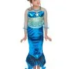 Blauwe Zeemeermin Jurk Voor Meisjes 2 Blauwe Zeemeermin Jurk Voor Meisjes -Cosplay Kostuums Winkel blauwe zeemeermin jurk voor meisjes