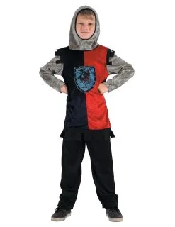 Draak Ridder Kostuum Voor Jongens