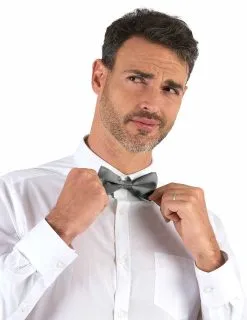 Glanzend Zilverkleurig Strikje Voor Volwassenen