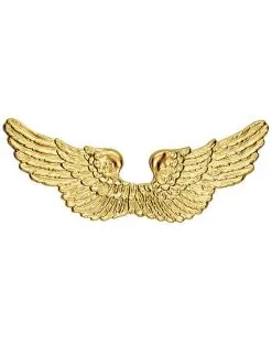 Goudkleurige Engelen Vleugels Voor Volwassenen