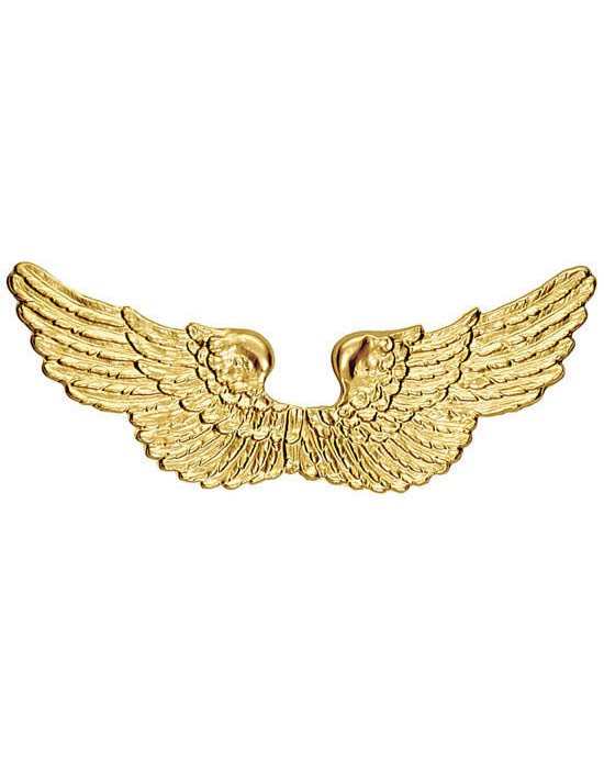Goudkleurige Engelen Vleugels Voor Volwassenen 3 Goudkleurige Engelen Vleugels Voor Volwassenen