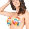 Hawaï Bh Met Schelpen Voor Volwassenen -Cosplay Kostuums Winkel hawai bh met schelpen voor volwassenen