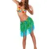 Hawaïaanse Rok In Groen Met Blauw Voor Volwassenen -Cosplay Kostuums Winkel hawaiaanse rok in groen met blauw voor volwassenen