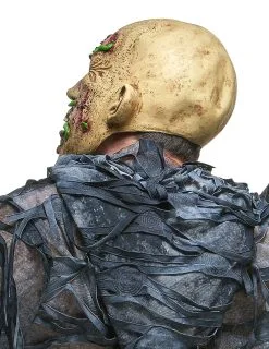 Rottende Zombie Met Maden Masker Voor Volwassenen -Cosplay Kostuums Winkel rottend zombie masker voor volwassenen 2