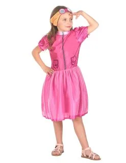 Roze Vliegeniers Vermomming Voor Meisje