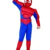 Superheld Spinnen Kostuum Voor Jongens 2 Superheld Spinnen Kostuum Voor Jongens -Cosplay Kostuums Winkel superheld spinnen kostuum voor jongens