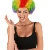 Veelkleurige Afroclownspruik Voor Volwassenen