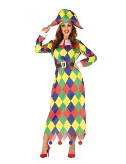 Veelkleurige Geruite Harlekijn Outfit Voor Dames