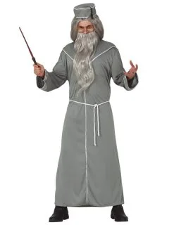 Vermomming Directeur Van Magische Volwassene